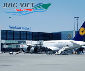 Sân Bay Quốc Tế Frankfurt (FRA) Có Gì?