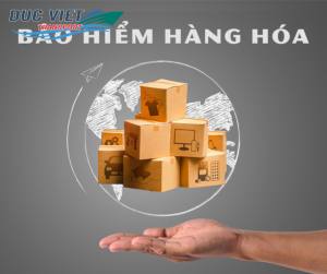 Phí bảo hiểm hàng hóa có bắt buộc không?