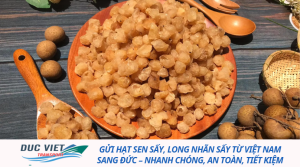 Gửi hạt sen sấy, long nhãn sấy từ Việt Nam sang Đức – Nhanh chóng, an toàn, tiết kiệm
