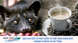 DỊCH VỤ GỬI CÀ PHÊ CHỒN TỪ VIỆT NAM SANG ĐỨC NHANH CHÓNG VÀ AN TOÀN