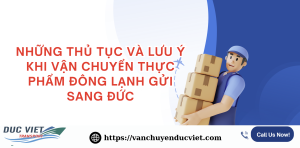 THỦ TỤC VÀ LƯU Ý KHI VẬN CHUYỂN HÀNG ĐÔNG LẠNH