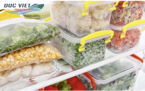 THỦ TỤC VÀ LƯU Ý KHI VẬN CHUYỂN HÀNG ĐÔNG LẠNH