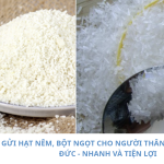 Gửi hạt nêm, bột ngọt cho người thân định cư tại Đức – Nhanh & tiện lợi