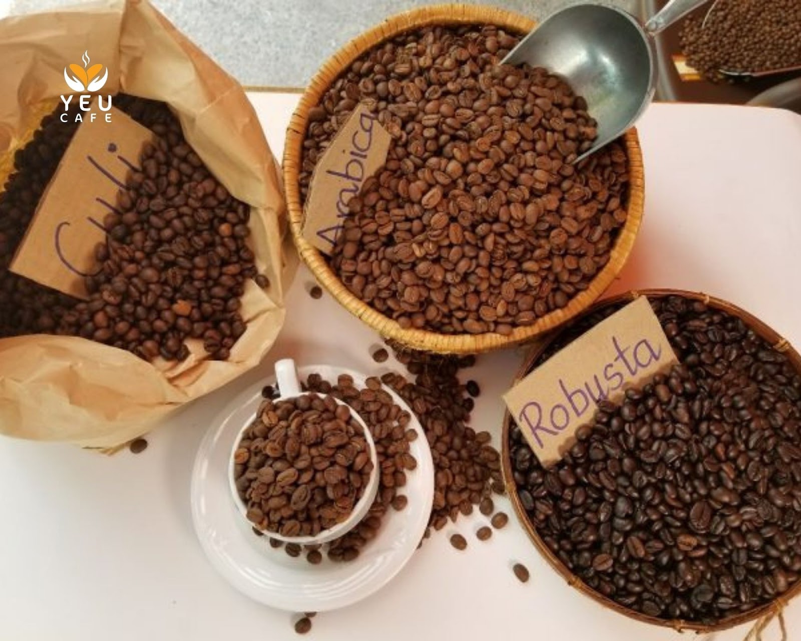 Các loại hạt cà phê Việt  Nam