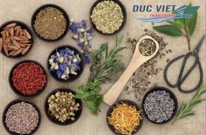 VẬN CHUYỂN THẢO DƯỢC SẢN PHẨM THIÊN NHIÊN