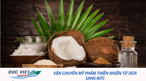 Vận chuyển mỹ phẩm từ dừa sang Đức
