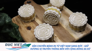 VẬN CHUYỂN BÁNH IN TỪ VIỆT NAM SANG ĐỨC - GIỮ HƯƠNG VỊ TRUYỀN THỐNG ĐÊN VỚI CỘNG ĐỒNG XA XỨ