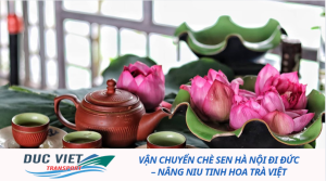 Vận chuyển chè sen Hà Nội đi Đức – Nâng niu tinh hoa trà Việt