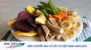 VẬN CHUYỂN RAU CỦ SẤY TỪ VIỆT NAM SANG ĐỨC