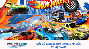 GỬI ĐỒ CHƠI XE HOT WHEELS TỪ ĐỨC VỀ VIỆT NAM