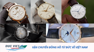 Vận chuyển hạt mắc ca từ Việt Nam sang Đức