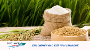 Vận chuyển gạo Việt Nam sang Đức