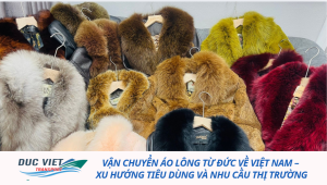 Vận chuyển áo lông từ Đức về Việt Nam – Xu hướng tiêu dùng và nhu cầu thị trường
