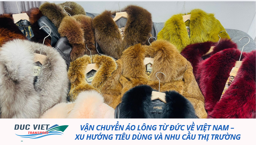 Vận chuyển áo lông từ Đức về Việt Nam – Xu hướng tiêu dùng và nhu cầu thị trường