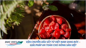 Vận chuyển dâu sấy từ Việt Nam sang Đức – Giải pháp an toàn cho nông sản Việt