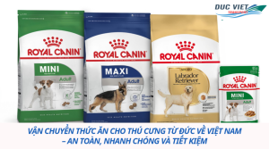 Vận chuyển thức ăn cho thú cưng từ Đức về Việt Nam – Xu hướng mới cho người nuôi chó mèo