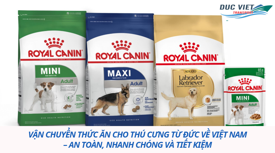 Vận chuyển thức ăn cho thú cưng từ Đức về Việt Nam – Xu hướng mới cho người nuôi chó mèo