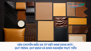 VẬN CHUYỂN MẪU DA TỪ VIỆT NAM SANG ĐỨC: QUY TRÌNH, QUY ĐỊNH VÀ KINH NGHIỆM THỰC TIỄN