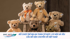ĐỒ CHƠI TRẺ EM AN TOÀN TỪ ĐỨC: CƠ HỘI VÀ YÊU CẦU ĐỂ VẬN CHUYỂN VỀ VIỆT NAM