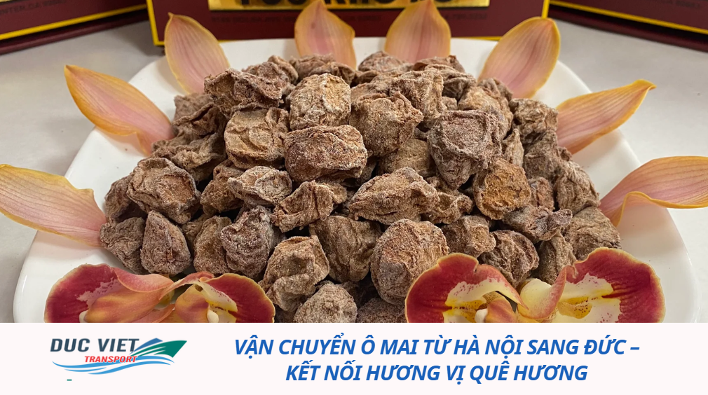 VẬN CHUYỂN Ô MAI TỪ HÀ NỘI SANG ĐỨC – GIỮ TRỌN HƯƠNG VỊ HÀ THÀNH NƠI XỨ NGƯỜI