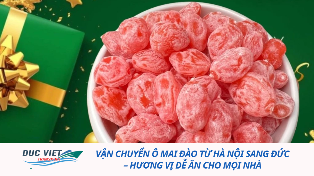 VẬN CHUYỂN Ô MAI ĐÀO TỪ HÀ NỘI SANG ĐỨC – HƯƠNG VỊ DỄ ĂN CHO MỌI NHÀ
