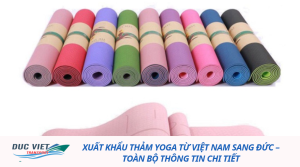 XUẤT KHẨU THẢM YOGA TỪ VIỆT NAM SANG ĐỨC – TOÀN BỘ THÔNG TIN CHI TIẾT