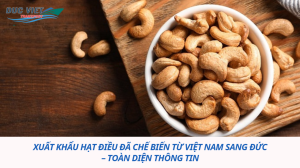 XUẤT KHẢU HẠT ĐIỀU ĐÃ CHẾ BIẾN SANG ĐỨC