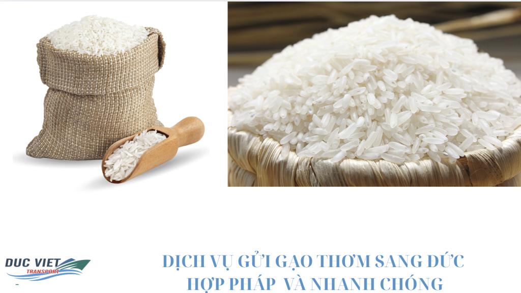 DỊCH VỤ GỬI GẠO THƠM SANG ĐỨC
