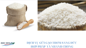 DỊCH VỤ GỬI GẠO THƠM SANG ĐỨC