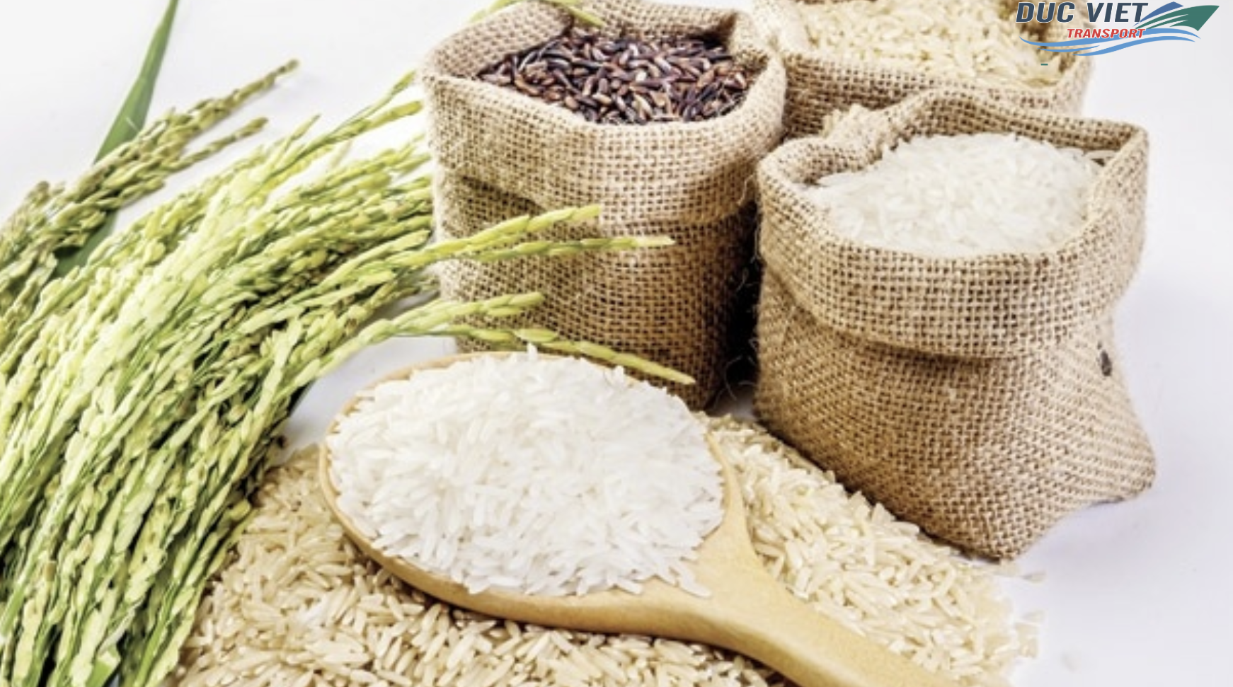 DỊCH VỤ GỬI GẠO THƠM SANG ĐỨC