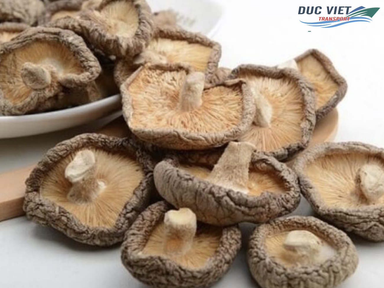 THỊ TRƯỜNG NẤM KHÔ VIỆT NAM TẠI ĐỨC