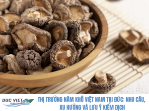 THỊ TRƯỜNG NẤM KHÔ VIỆT NAM TẠI ĐỨC