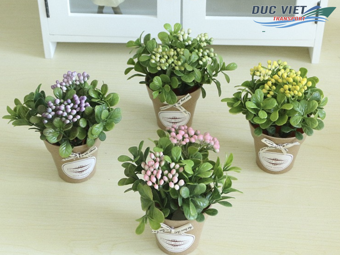 VẬN CHUYỂN HOA TƯƠI VÀ CÂY TRỒNG MINI SANG ĐỨC