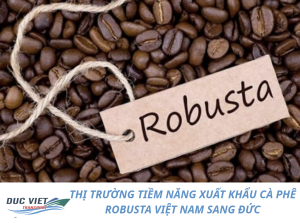 XUẤT KHẨU CÀ PHÊ ROBUSTA VIỆT NAM SANG ĐỨC