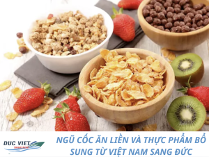 NGŨ CỐC ĂN LIỀN VÀ THỰC PHẨM BỔ SUNG TỪ VIỆT NAM SANG ĐỨC