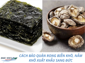 CÁCH BẢO QUẢN RONG BIỂN KHÔ, NẤM KHÔ XUẤT KHẨU SANG ĐỨC