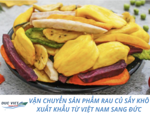 VẬN CHUYỂN SẢN PHẨM RAU CỦ SẤY KHÔ XUẤT KHẨU TỪ VIỆT NAM SANG ĐỨC