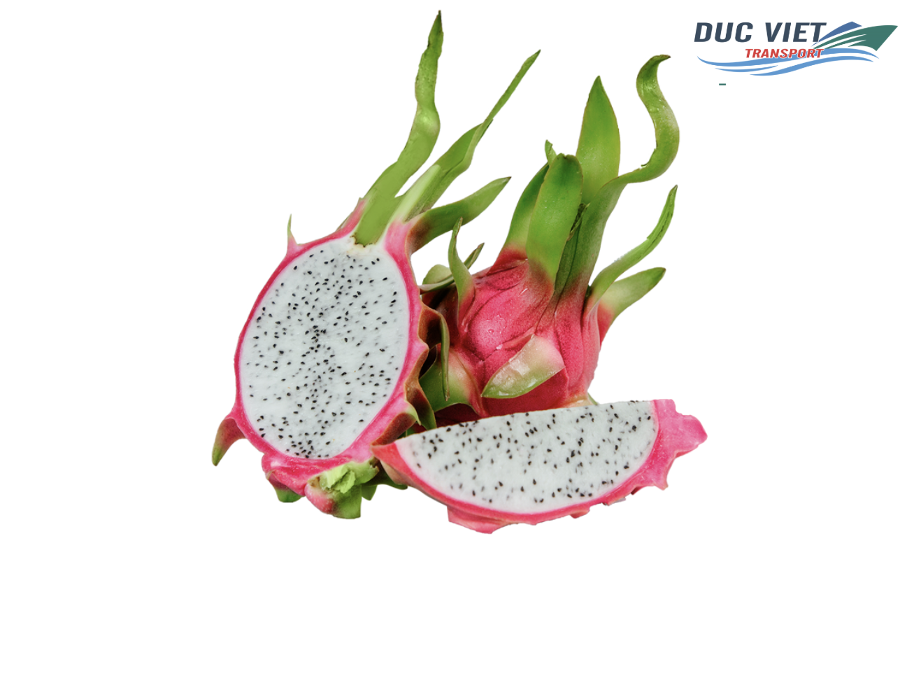 BẢO QUẢN VÀ ĐÓNG GÓI THANH LONG KHI VẬN CHUYỂN TỪ VIỆT NAM SANG ĐỨC