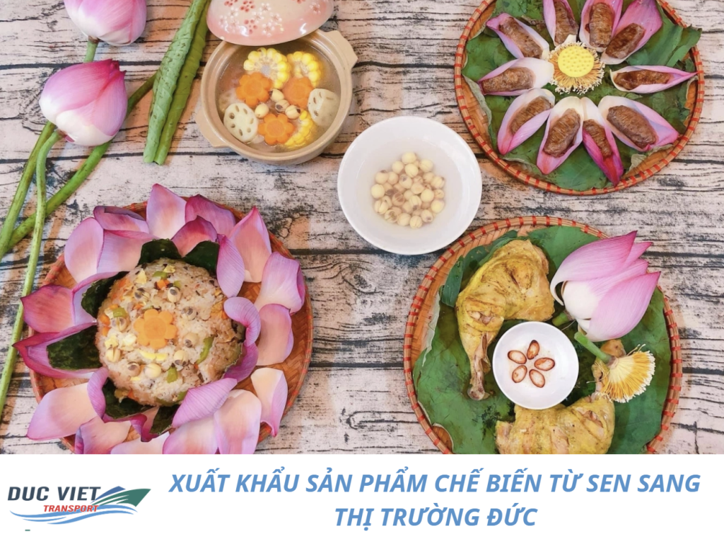 XUẤT KHẨU SẢN PHẨM CHẾ BIẾN TỪ SEN SANG THỊ TRƯỜNG ĐỨC