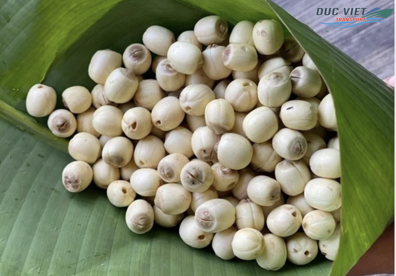 XUẤT KHẨU SẢN PHẨM CHẾ BIẾN TỪ SEN SANG THỊ TRƯỜNG ĐỨC