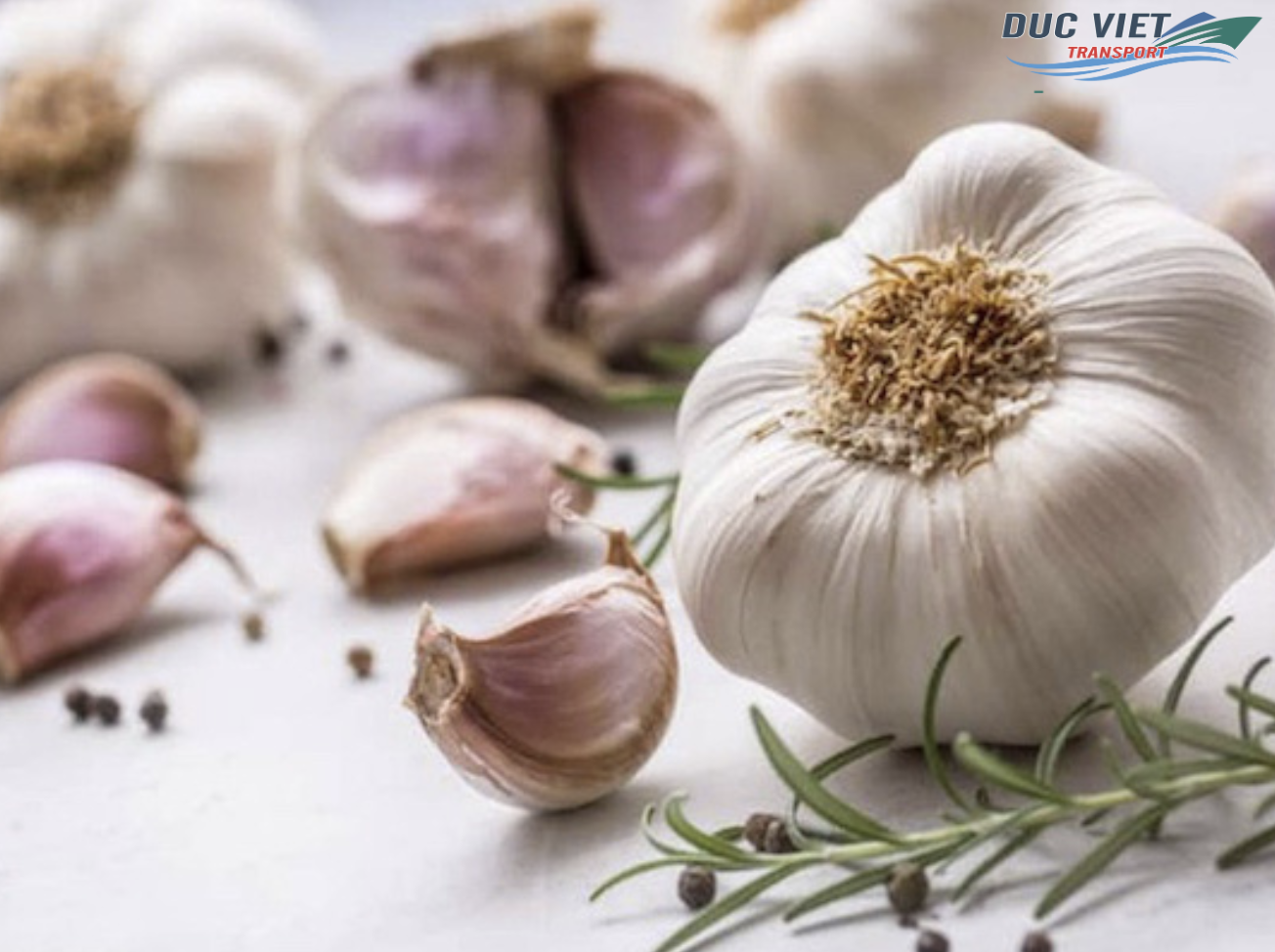 ĐẨY MẠNH XUẤT KHẨU TỎI SANG THỊ TRƯỜNG ĐỨC