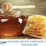 XUẤT KHẨU MẬT ONG THIÊN NHIÊN TỪ VIỆT NAM SANG ĐỨC