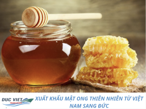 XUẤT KHẨU MẬT ONG THIÊN NHIÊN TỪ VIỆT NAM SANG ĐỨC