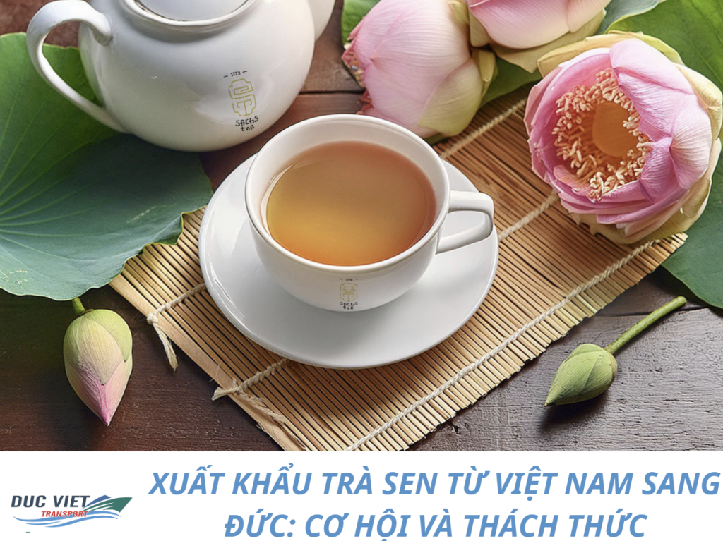 XUẤT KHẨU TRÀ SEN TỪ VIỆT NAM SANG ĐỨC: CƠ HỘI VÀ THÁCH THỨC