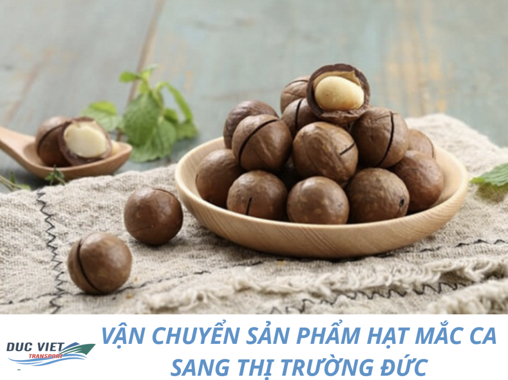 VẬN CHUYỂN SẢN PHẨM HẠT MẮC CA SANG THỊ TRƯỜNG ĐỨC