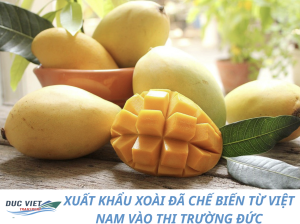 XUẤT KHẨU XOÀI ĐÃ CHẾ BIẾN TỪ VIỆT NAM VÀO THỊ TRƯỜNG ĐỨC