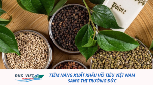 Tiềm năng xuất khẩu hồ tiêu Việt Nam sang thị trường Đức