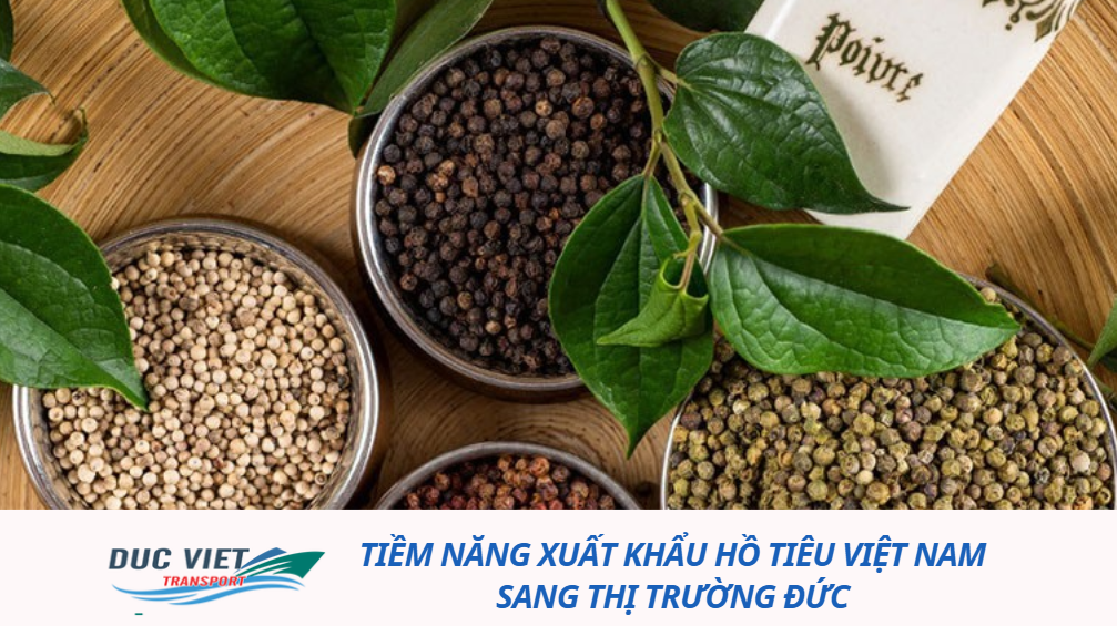 Tiềm năng xuất khẩu hồ tiêu Việt Nam sang thị trường Đức