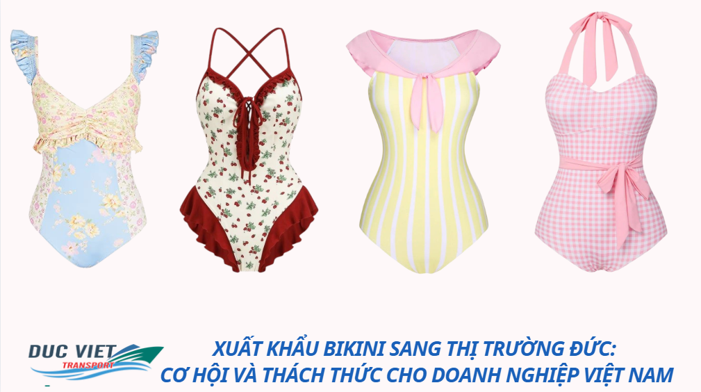 Xuất Khẩu Bikini Sang Thị Trường Đức: Cơ Hội Và Thách Thức Cho Doanh Nghiệp Việt Nam