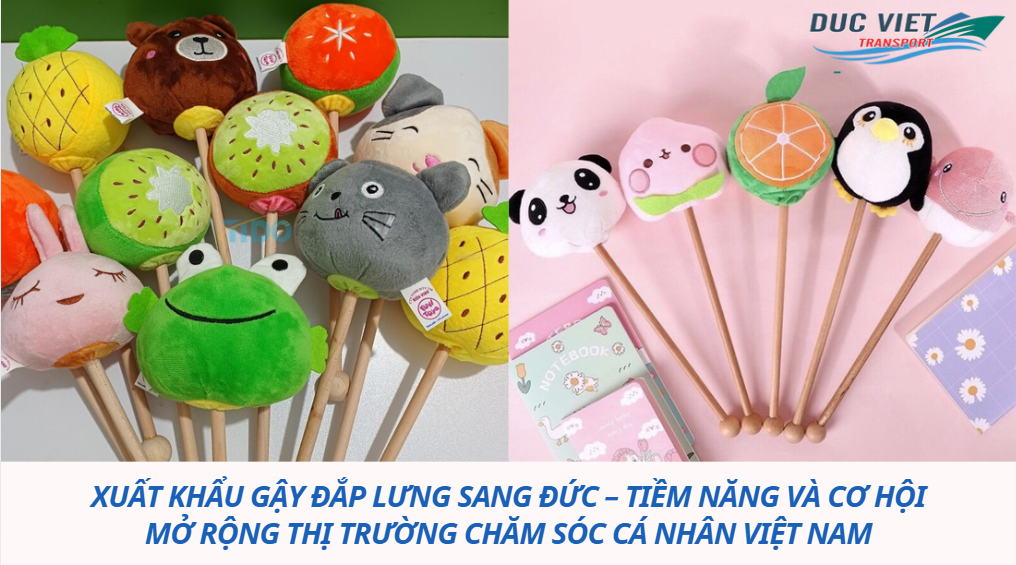 Xuất khẩu gậy đắp lưng sang Đức – Tiềm năng và cơ hội mở rộng thị trường chăm sóc cá nhân Việt Nam